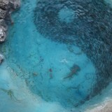 p_Miwula_Miniaturwunderland_Hamburg_Brucke_Sudseeinsel_ying_und_yang_zeichen_Hammerhai-Fischschwarm-3