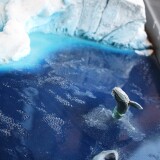 r_Polarmeer_Miwula_Miniaturwunderland_Hamburg_Brucke-1