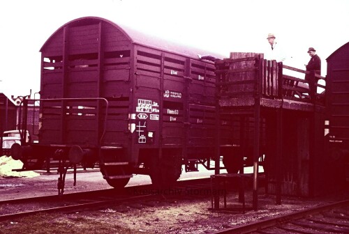 Uchte_Bahnhof_1966_Mindener_Kreiseisenbahn_Guterwagen_Viehverladung_Laderampe.jpg