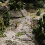 Kaktus_Kakteen_Garten_Miniaturwunderland_Berge_Frankreich_MiWuLa_Modellbahn-0a-2