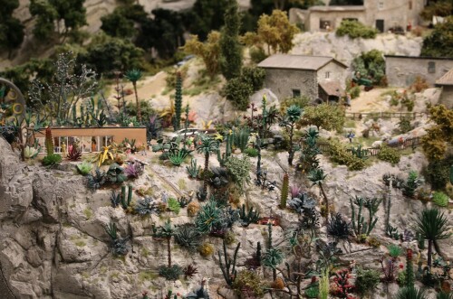 Kaktus_Kakteen_Garten_Miniaturwunderland_Berge_Frankreich_MiWuLa_Modellbahn-0b.jpg