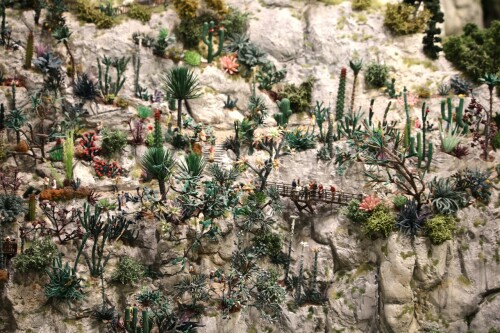 Kaktus_Kakteen_Garten_Miniaturwunderland_Berge_Frankreich_MiWuLa_Modellbahn-0g.jpg