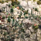 Kaktus_Kakteen_Garten_Miniaturwunderland_Berge_Frankreich_MiWuLa_Modellbahn-0g