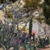 Kaktus_Kakteen_Garten_Miniaturwunderland_Berge_Frankreich_MiWuLa_Modellbahn-3a