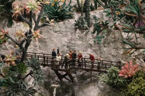 Kaktus_Kakteen_Garten_Miniaturwunderland_Berge_Frankreich_MiWuLa_Modellbahn-4.jpg