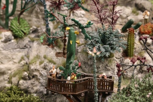 Kaktus_Kakteen_Garten_Miniaturwunderland_Berge_Frankreich_MiWuLa_Modellbahn-5.jpg
