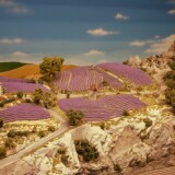 Miniaturwunderland_France_Provence_Lavendel_Felder_Frankreich_MiWuLa_Modellbahn_H0_a-4