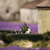 Miniaturwunderland_France_Provence_Lavendel_Felder_Frankreich_MiWuLa_Modellbahn_H0_b-1