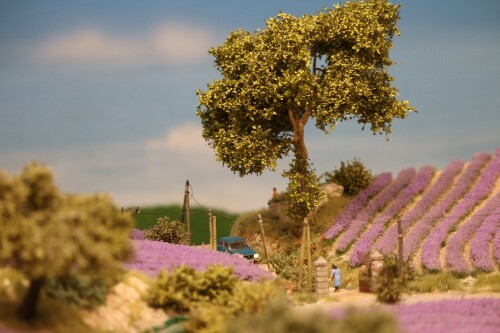 Miniaturwunderland_France_Provence_Lavendel_Felder_Frankreich_MiWuLa_Modellbahn_H0_b-10.jpg