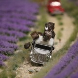 Miniaturwunderland_France_Provence_Lavendel_Felder_Frankreich_MiWuLa_Modellbahn_H0_b-11