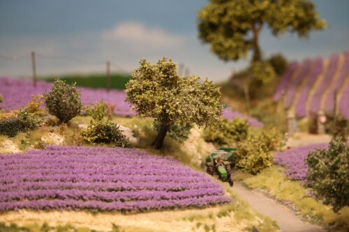 Miniaturwunderland_France_Provence_Lavendel_Felder_Frankreich_MiWuLa_Modellbahn_H0_b-9.jpg