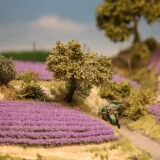 Miniaturwunderland_France_Provence_Lavendel_Felder_Frankreich_MiWuLa_Modellbahn_H0_b-9