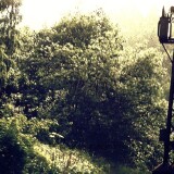 Himmelreich_Titisee_Eisenbahnbrucke_1967_Eilzug