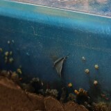 Monaco_Kuste_Miniaturwunderland_Miwula_H0_Modellanlage_Modellbau-4