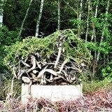 Travemunde_Bahnhof_2020_lost_places-5