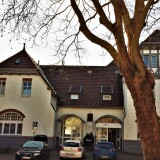 20200314-Baumbau-Strukturen-und-Boden-im-Wald-97