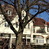 20200314-Baumbau-Strukturen-und-Boden-im-Wald-99