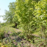 Ratzeburg-Schmilau_Draisinenbahn_Reste_Kaiserbahn_2023_c-1