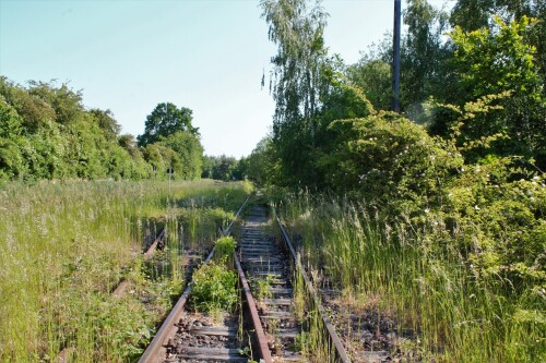 Ratzeburg-Schmilau_Draisinenbahn_Reste_Kaiserbahn_2023_d-1.jpg