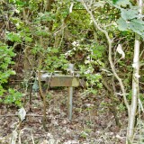 Ratzeburg-Schmilau_Draisinenbahn_Reste_Kaiserbahn_2023_d-2