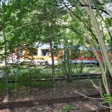 Ratzeburg-Schmilau_Draisinenbahn_Reste_Kaiserbahn_2023_e-1