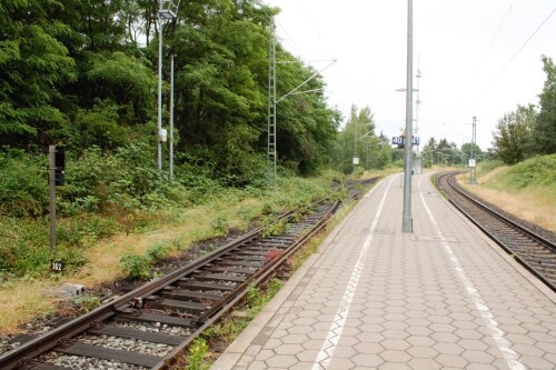 Bahnhof_Buchen_Gleisanlagen_ehemaliger_Grenzbahnhof_innerdeutsche_Grenze_2023_Juni-1.jpg