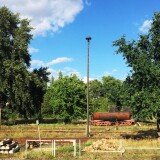 20200902-BW-Schoneweide-EV-47