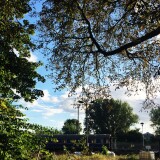 20200902-BW-Schoneweide-EV-55