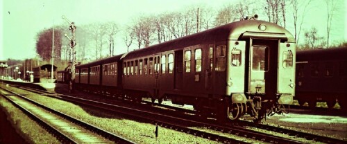 Friedrichsruh Bahnhof im Sachsenwald um 1966 (1)