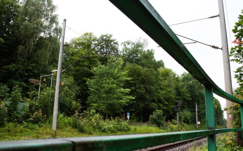 Friedrichsruh Bahnhof im Sachsenwald um 2023 Aug (2)
