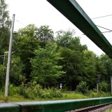 Friedrichsruh_Bahnhof-im-Sachsenwald-um_2023_Aug-2