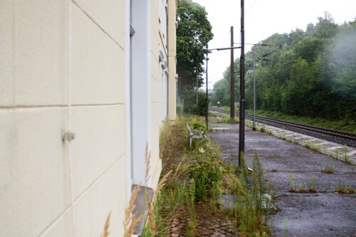 Friedrichsruh Bahnhof im Sachsenwald um 2023 Aug (6)