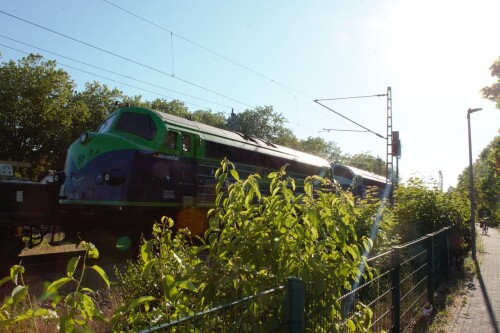 NOHAB Altmark Rail Doppeltraktion Schwarzenbek Bahnhof 2023 Jun NMJ 1032144 (3)