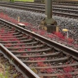 Schwarzenbek_Bahnhof_Unterfuhrung_Bahnsteig_Signalbrucke_Zweckbau-2
