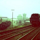 BR_78_391_BW_Bahnhof_Hamburg_Tiefstack_1966_Betriebswerk
