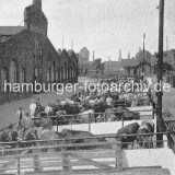 1910-Schlachthof-Hamburg---Schweine-in-der-Trift-beim-Bahnhof-Sternschanze