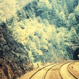 Schwarzwaldbahn_Villingen_Triberg_Bahnstrecke_Eisenbahn_1972_b