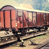 Todtnau_Bahnhof_1967_Schmalspurbahn_MEG_Guterwagen_Guterwagen_Normalspur_Schmalspur-1