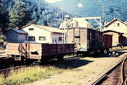 Todtnau_Bahnhof_1967_Schmalspurbahn_MEG_Guterwagen_Schmalspur_bb.jpg
