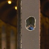 Circus_Maximus_Zirkus_Sehenswurdikeit_Rom_Miniaturwunderland_Hamburg_H0_Model-10