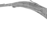 Kempten_Bahnhof_Gleisplan_GLP_1963_Luftbild_c-2