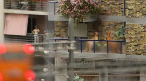 Roma_Italia_Miniaturwunderland_Miwula_Hamburg_H0-17gb.jpg