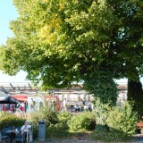 20230928-Bahnhof-Starnberg-23