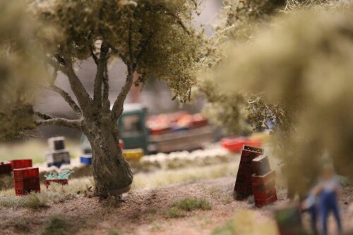 Miniaturwunderland_Miwula_Olivenernte_in_Italien_im_Modell_H0-4.jpg