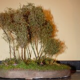 H0_Gauge_1_87_Stilleben_Weihnachtsgeschenkchen_b-1