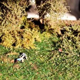 H0_Gauge_1_87_Stilleben_Weihnachtsgeschenkchen_c-4