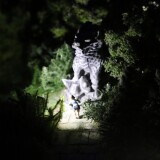 Miniaturwunderland_Hamburg_Miwula_Italien_Erimitage_Park-5