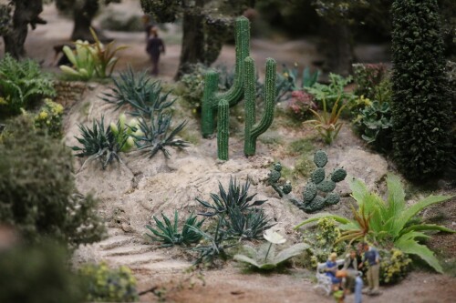 Miniaturwunderland_Hamburg_Miwula_Italien_Kakteen_Park-13.jpg
