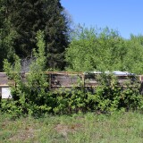 Tuttlingen_Dampflok_BW_Verein_Drehscheibe_Museum_Ausstellung_Lost_place-75