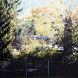 20231006_Tuttlingen_Dampflokmuseum_Lokschuppen_Lost_place-2